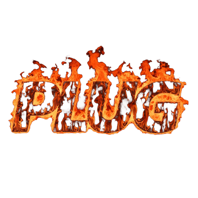 Plug